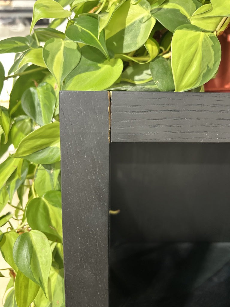Burung Cupboard - Image 4