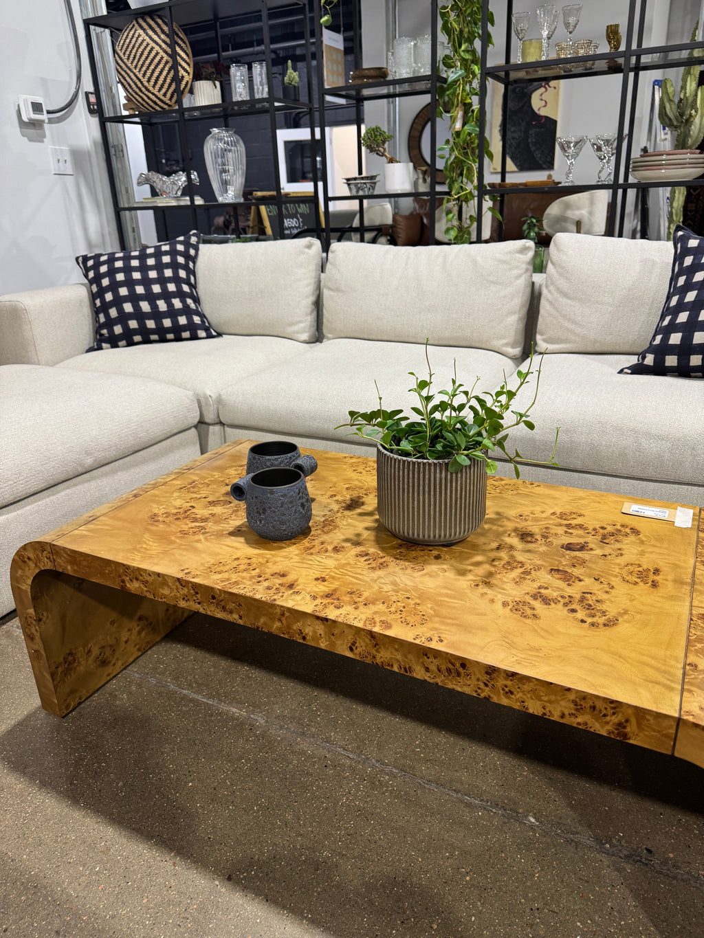 Wallace Burl Coffee Table - Image 6
