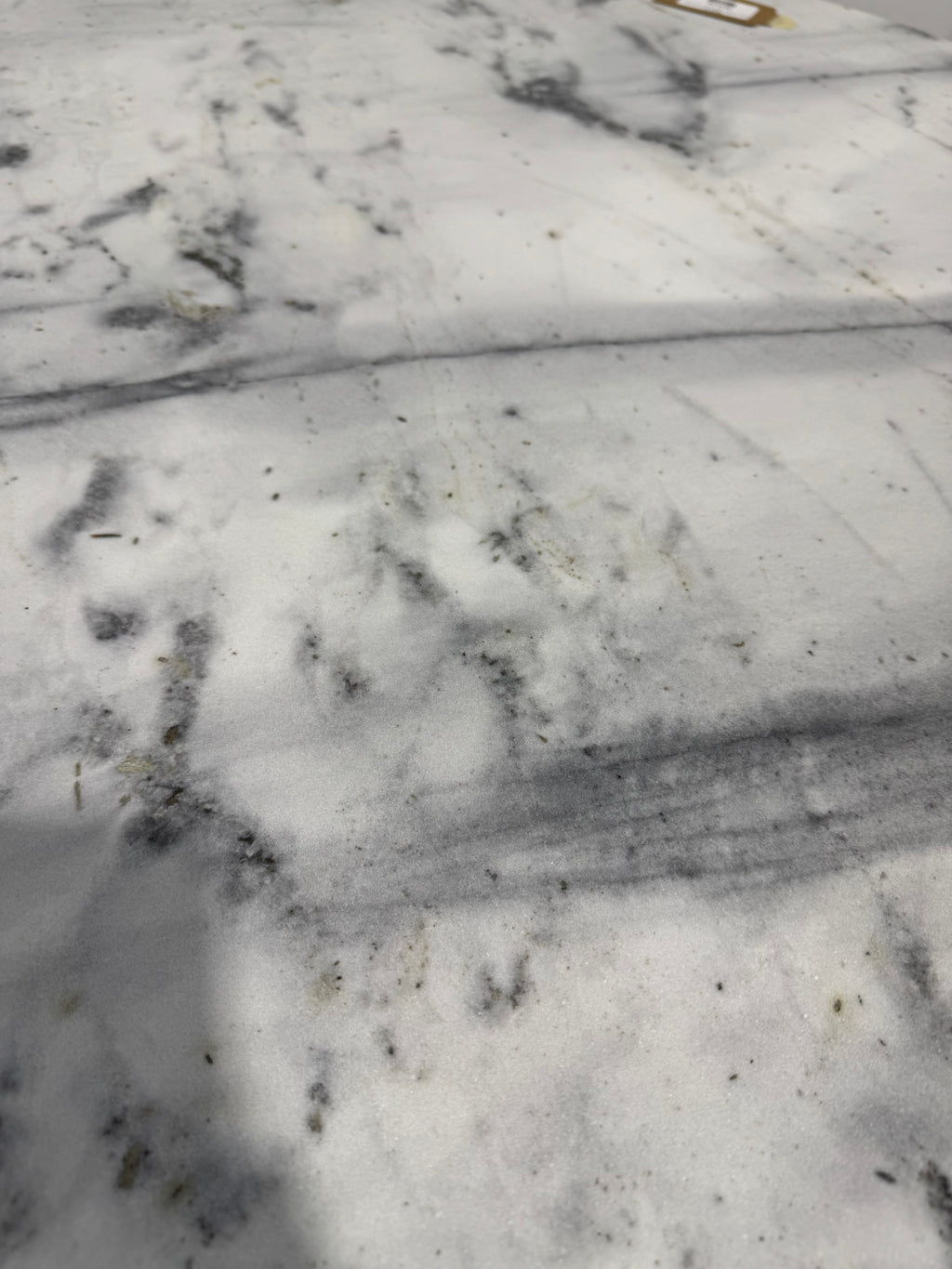 Moe's Jinxx Coffee Table